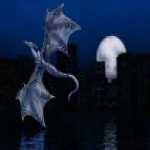 thumb_1101 (Medium).jpg